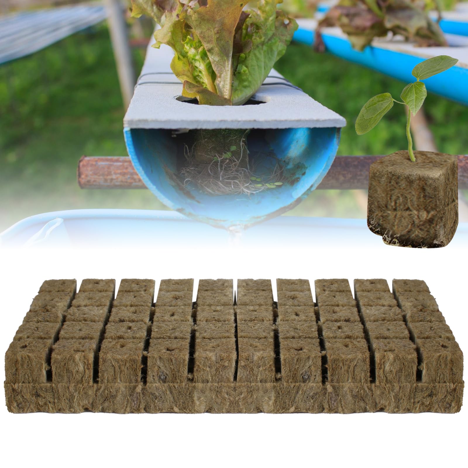 150 Cubes De Laine De Roche 2.5x2.5x2.5 Cm - Rockwool Pour Semis, Hydroponie, Culture Sans Terre