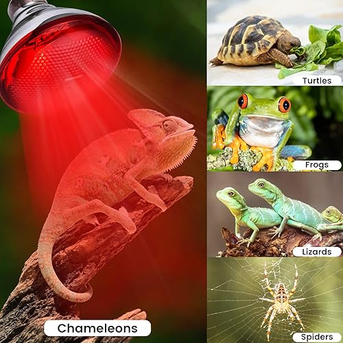 Miniatura 5 de YEAOI Bombilla infrarroja de 250 W para reptiles, luz roja, mantiene el calor