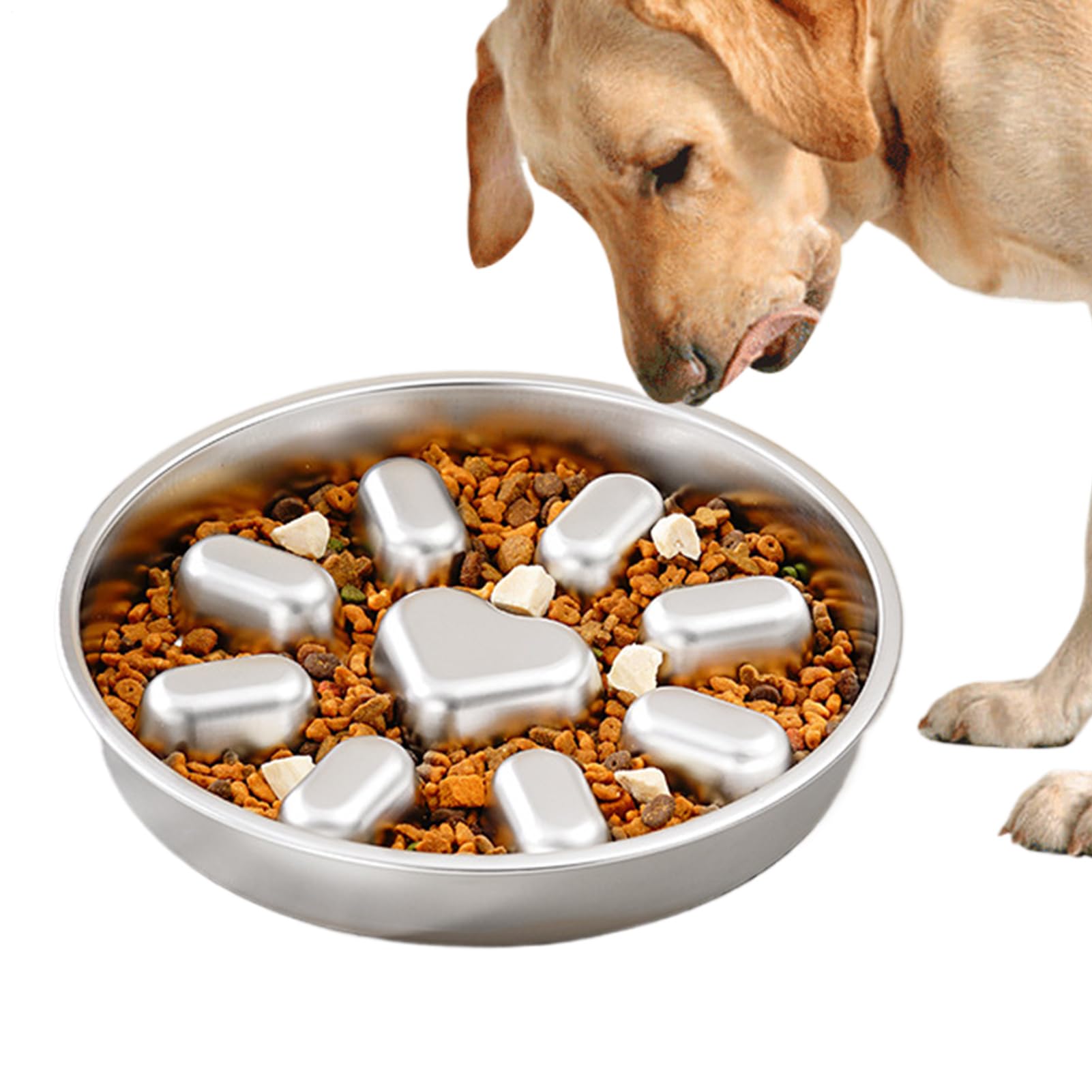 Gamelle anti-glouton chien de taille moyenne avec sections surélevées antidérapantes