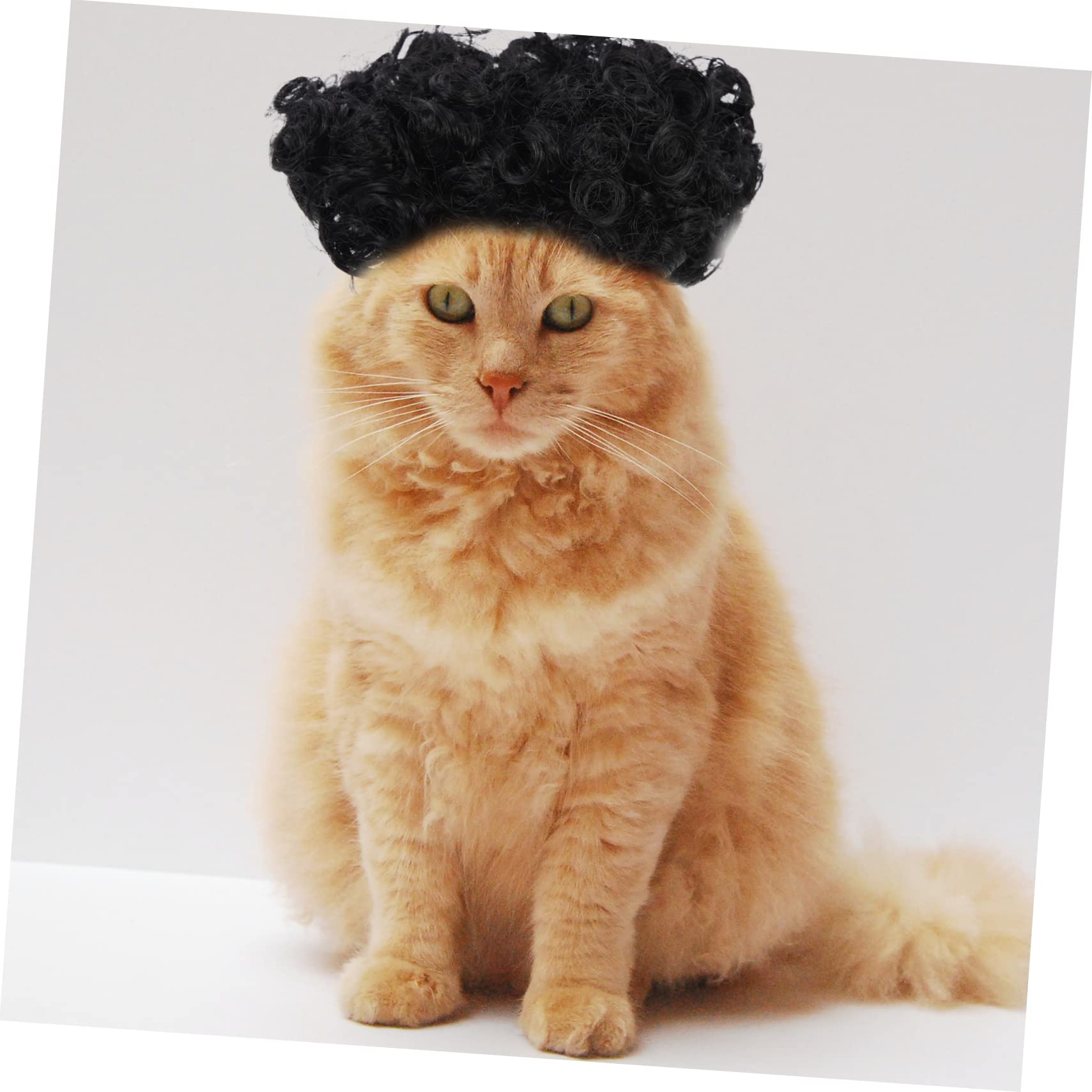 5pcs Pet Pelucas Pequeñas Pelucas para Mascotas Perros Cosplay Peluca Pelucas Afro-Pelucas para Cachorros Mascotas Disfraces Prop Mascota Perros Accesorios Transformación Traje de Perro