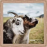 Vista 4 de Poster Palooza 3x3 Inch Traditional Antique Silver Complete Wood Square Picture Frame with UV Acrylic Plexiglass, Foam Board Backing & Hardware