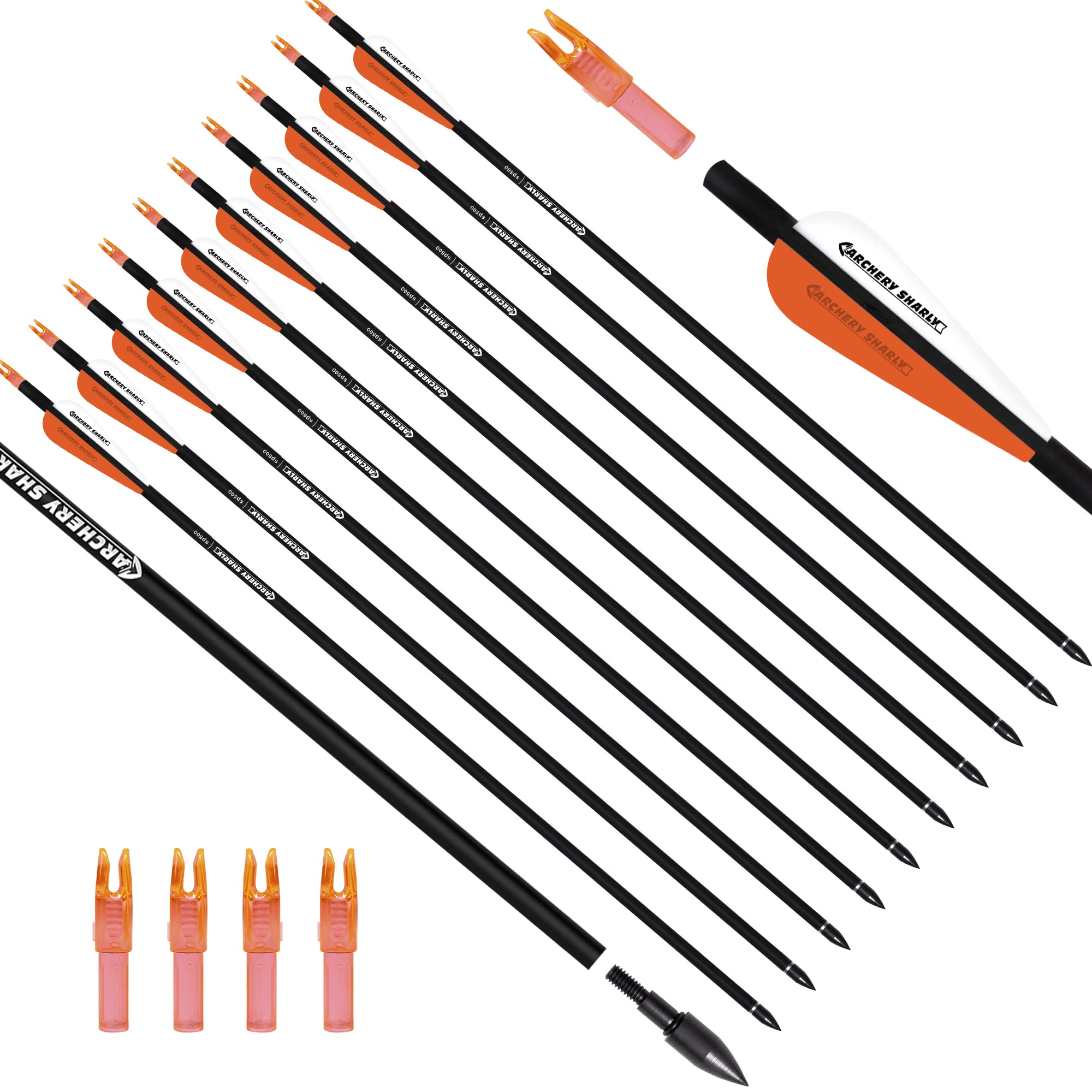 30Inch Carbon Hunting Arrow Targeting Practice Arrows with Removable Tips and Adjustable Nocks for Compound & Recurve Bow (Pack of 12)