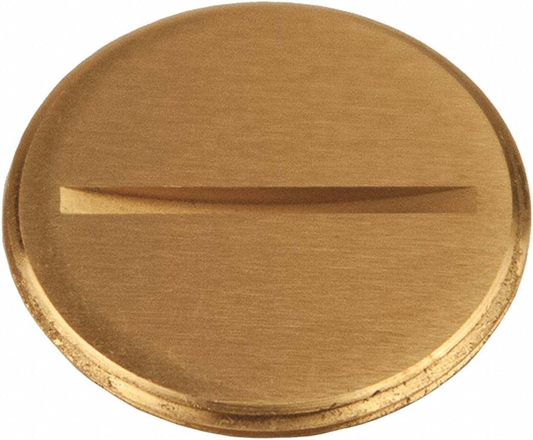 2 Set Abandon Plug, 1-1/2 in. Flush Slotted Plug, Fits RACO Covers 6284, 6288, Brass (6226)