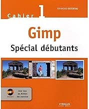 Download Gimp Spécial débutants PDF