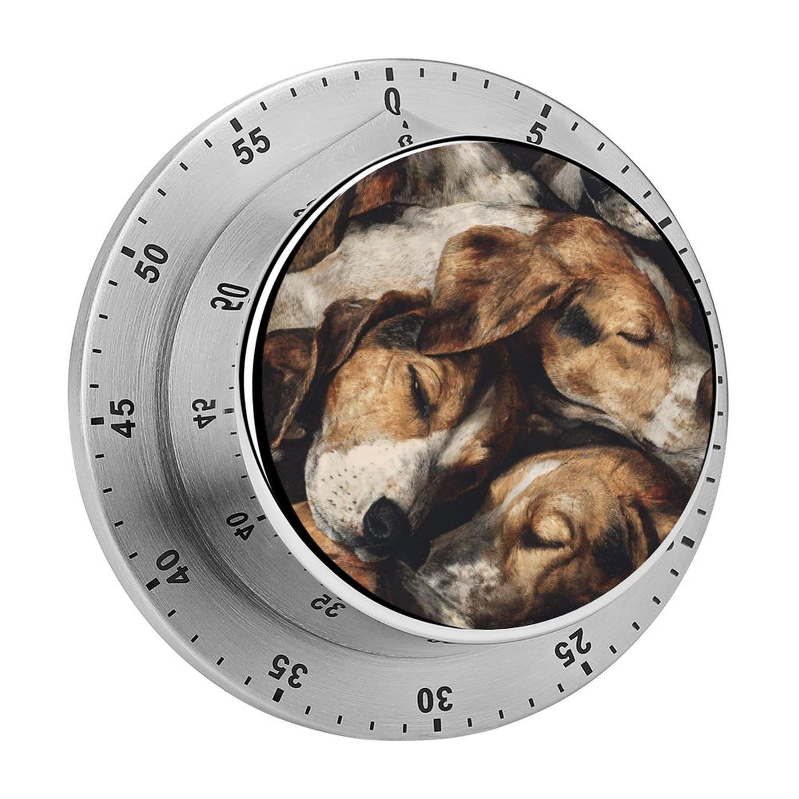 Foxhounds Dog Sleeping Together Mechanical Timer with Alarm for Kitchen Cooking Productivity Stainless Steel Timers