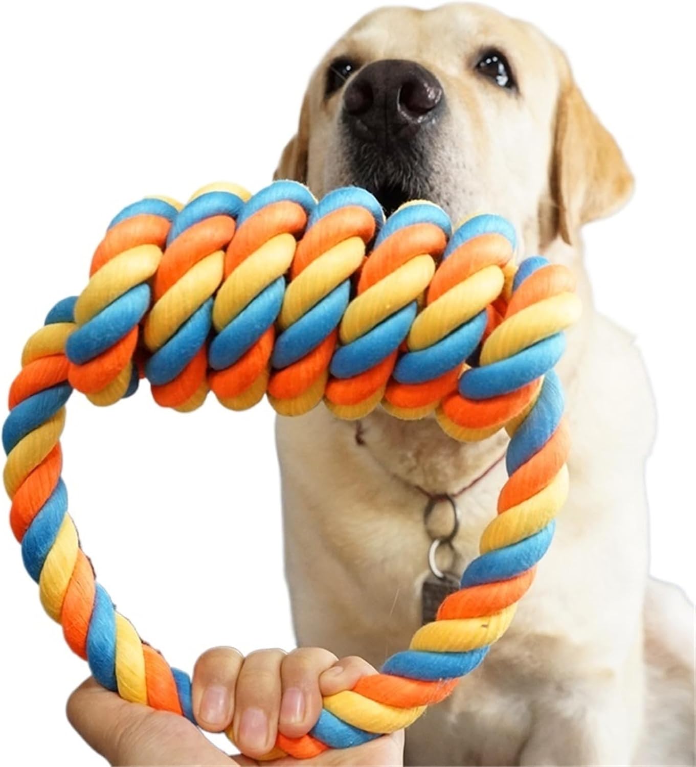 Interactive bite-Resistant pet Cotton Rope Plaything Teeth Cleaning Molar Stick Golden Retriever Samoyed Puppy Dog Plaything Knot