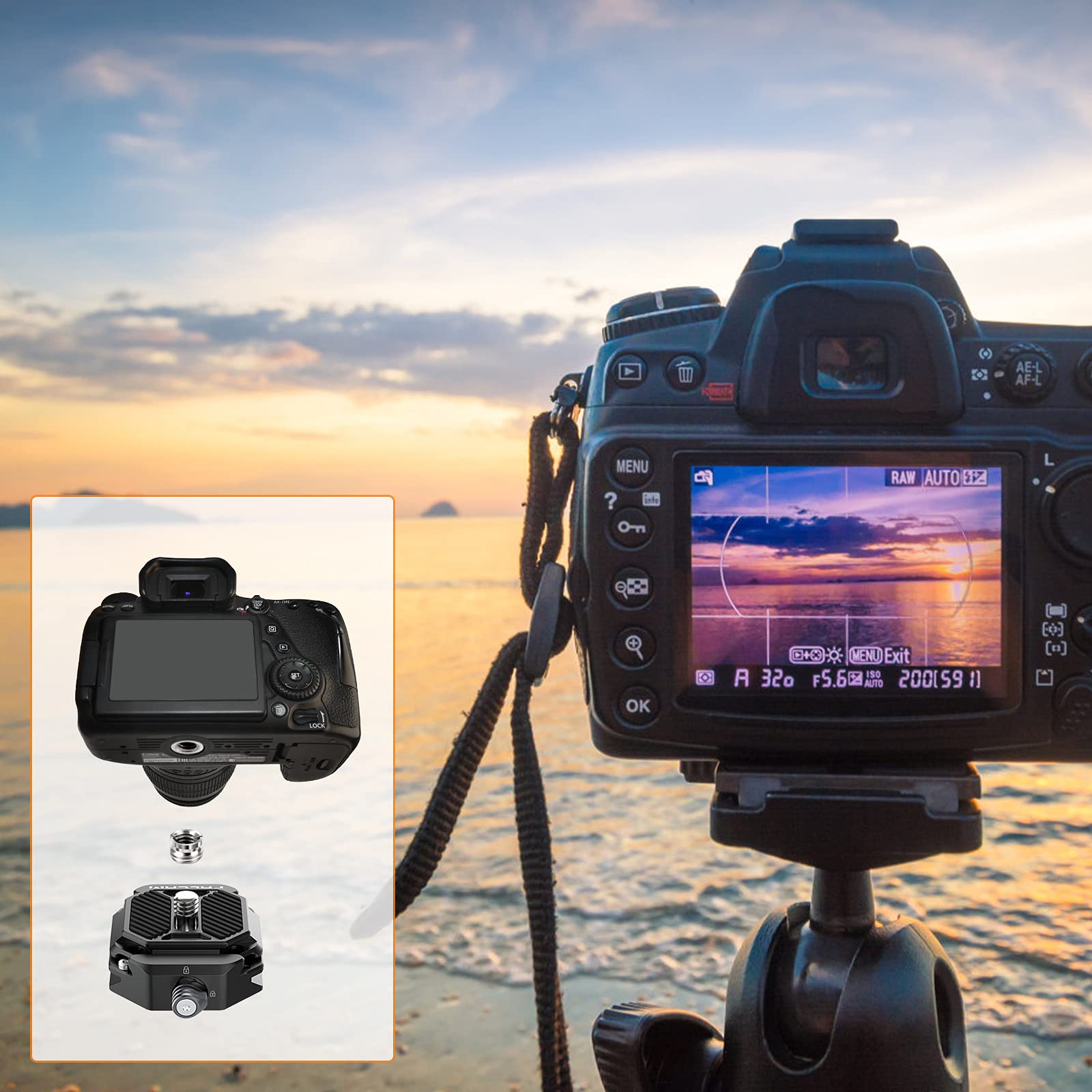Adaptateur Trépied Binoculaire 1/4" Avec Kit Complet De Vis - Pour Jumelles, Appareil Photo Et Caméra