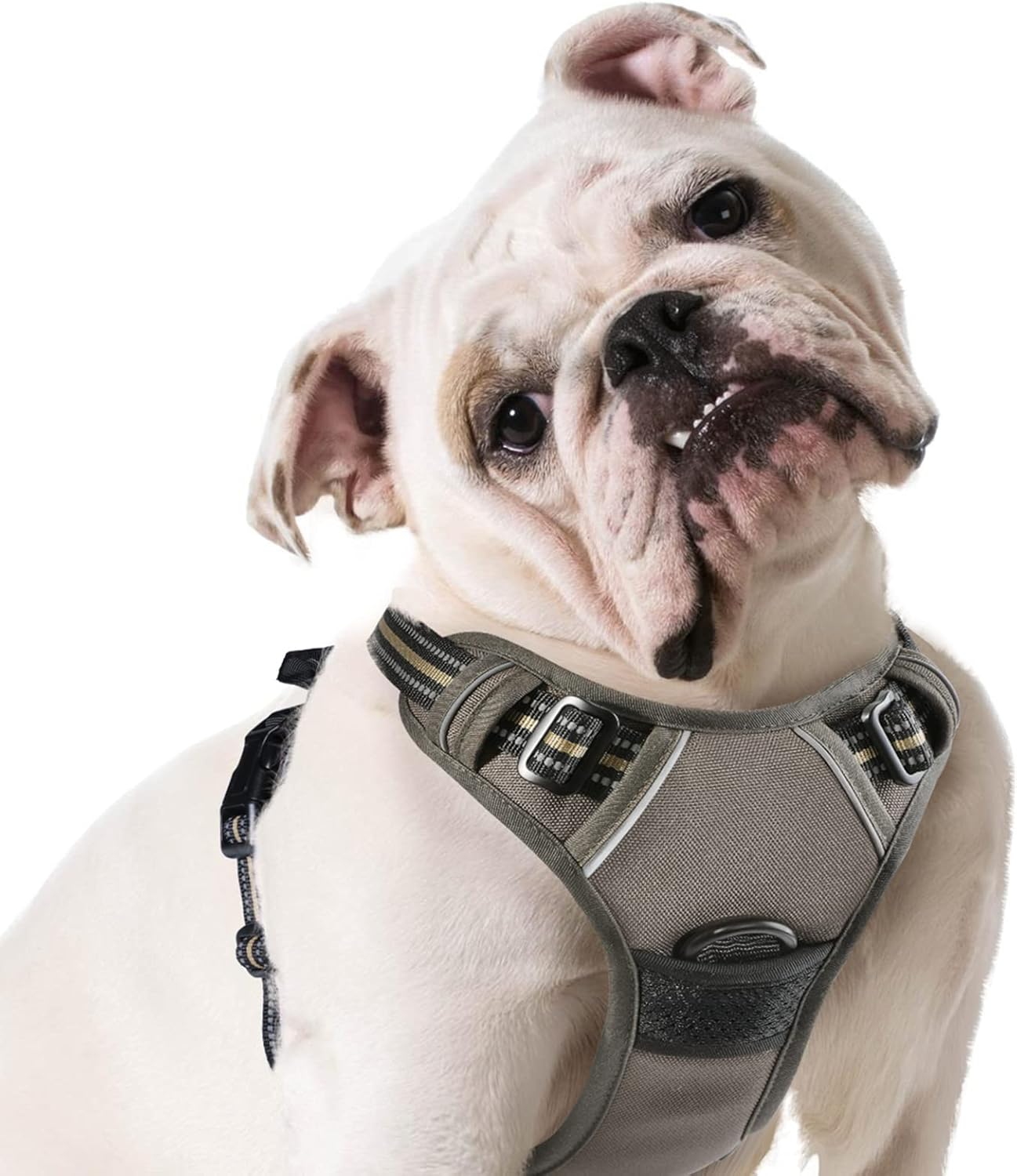 Eagloo Dog Harness No Pull, Front Clip Dog Walking Harness