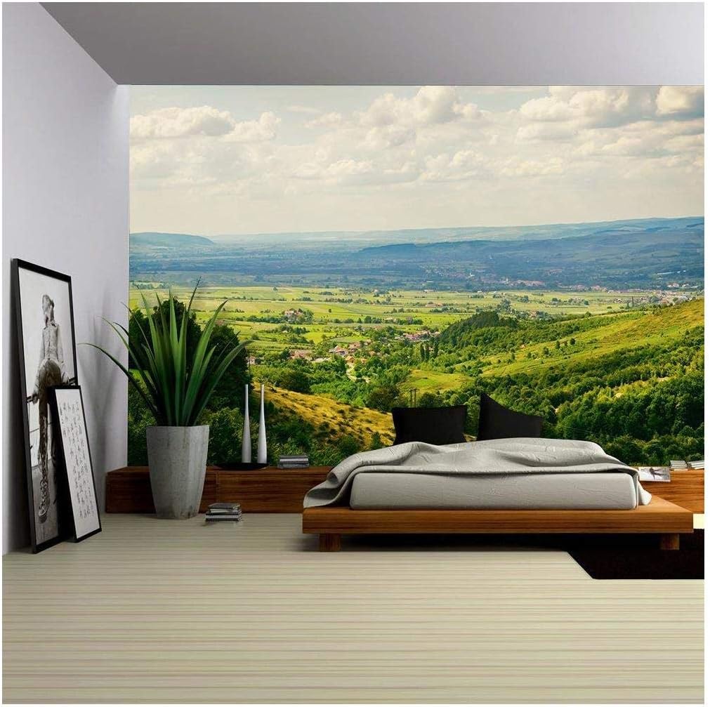 wall26 - Natural Landscape with Fields and Forests Over Cloudy Sky - Removable Wall Mural | Self-Adhesive Large Wallpaper - 66x96 inches