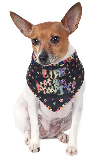 Rubie's Life of The Pawty Pet Bandana, Small-Medium