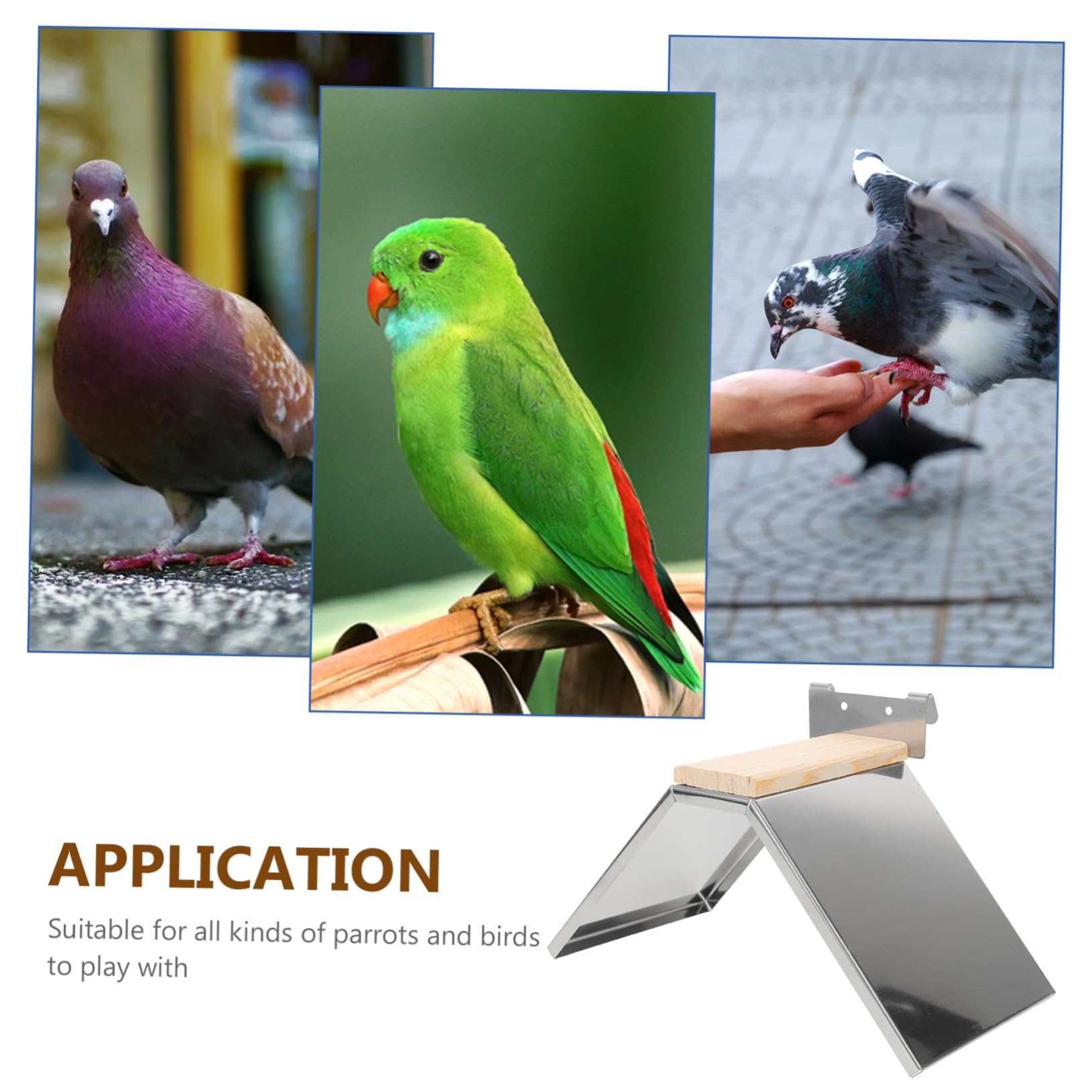 BESPORTBLE 4piezas Soporte De Percha para Pájaros De Inoxidable Percha De Descanso para Palomas y Aves Juguete para Aves para Periquitos y Gallinas