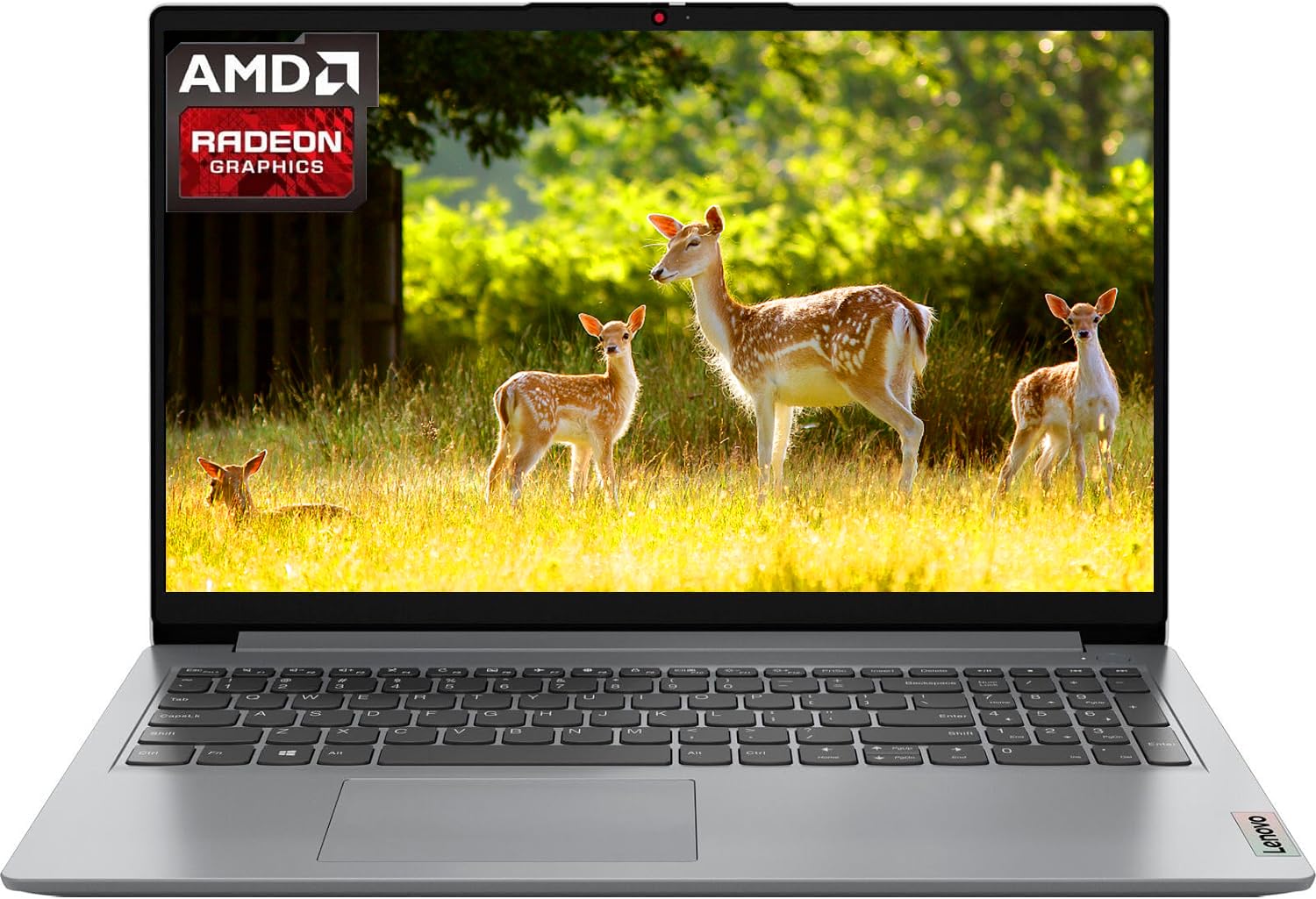 Amazon.com: Lenovo 2024 IdeaPad 1 15.6
