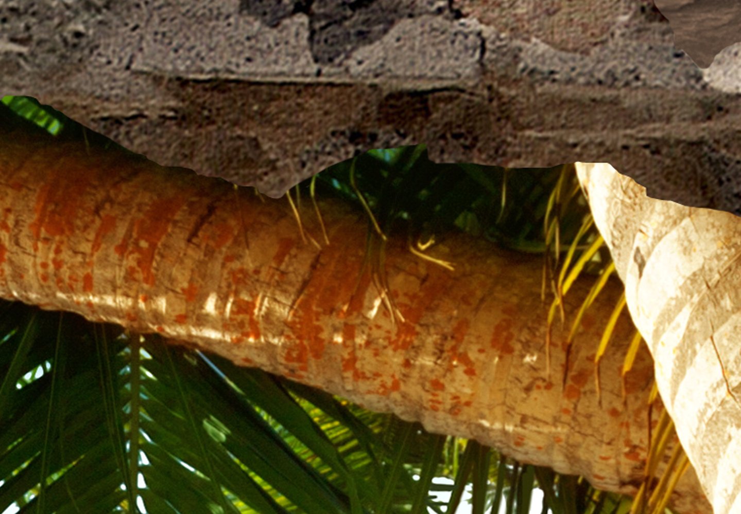 Illusion D'optique 3D - 210x150 Cm - Papier Peint Intissé