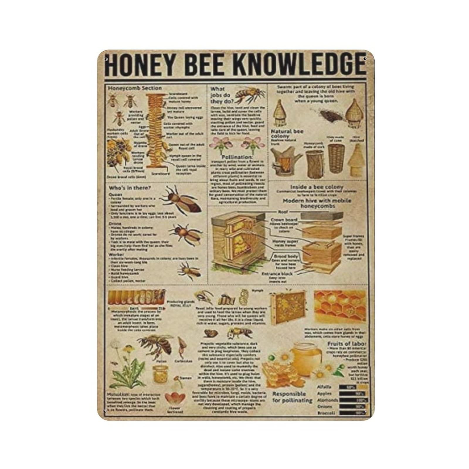 AOOEDM Honey Bee Knowledge Metal Tin Signs for Man Cave Funny Art Wall Plaque Kitchen Bar Sign Coffee Shop Garage Wall Decor Hanging Decor