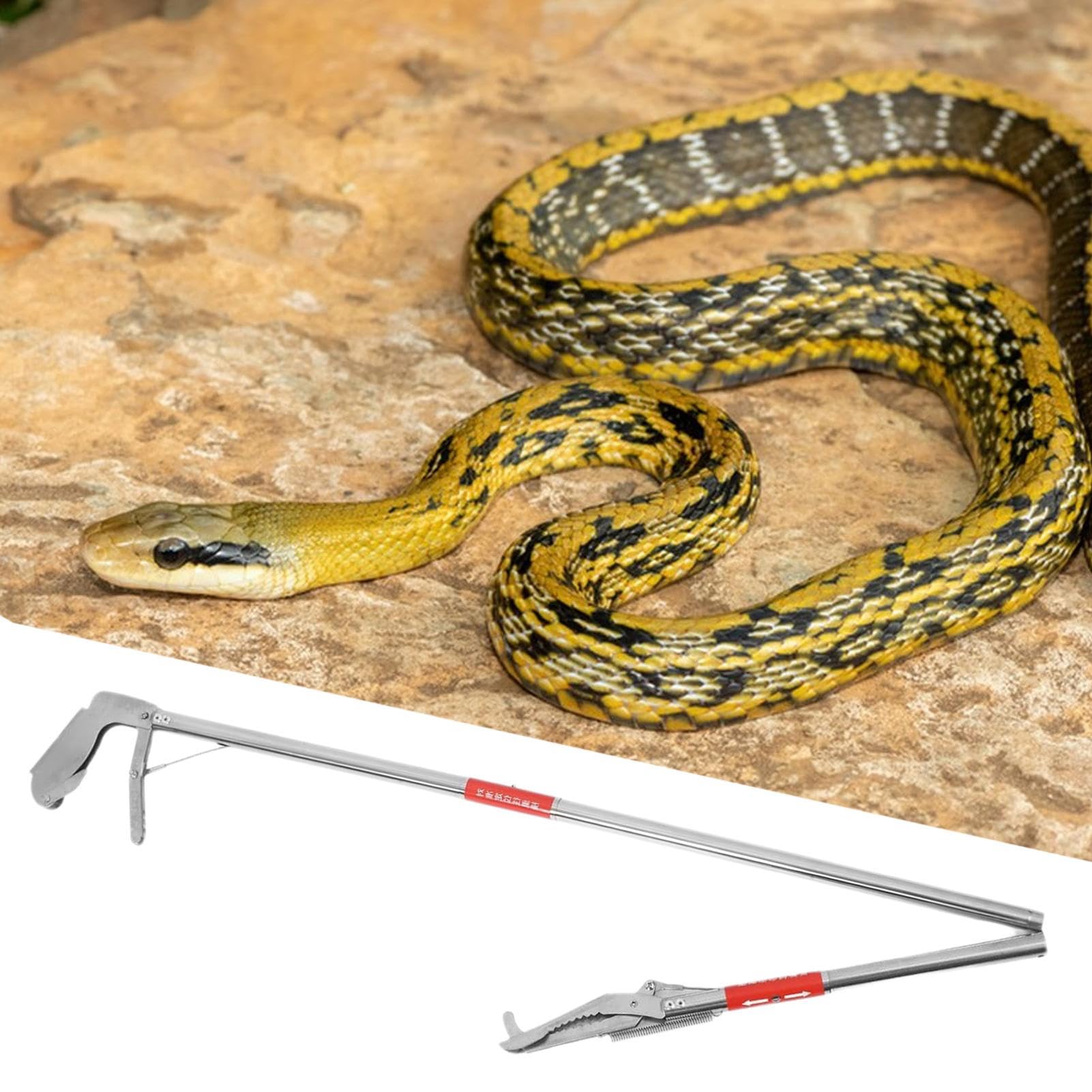 Pinces à serpent – Pinces pliables pour attraper des crabes en acier inoxydable | Outil de récupération des déchets | Pour les propriétaires, jardiniers, éleveurs, personnel d'abri, jardin, parc, pi