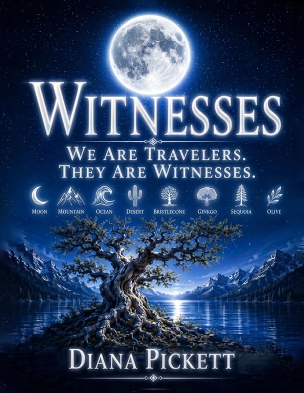 WITNESSES: WE ARE TRAVELERS THEY ARE WITNESSES