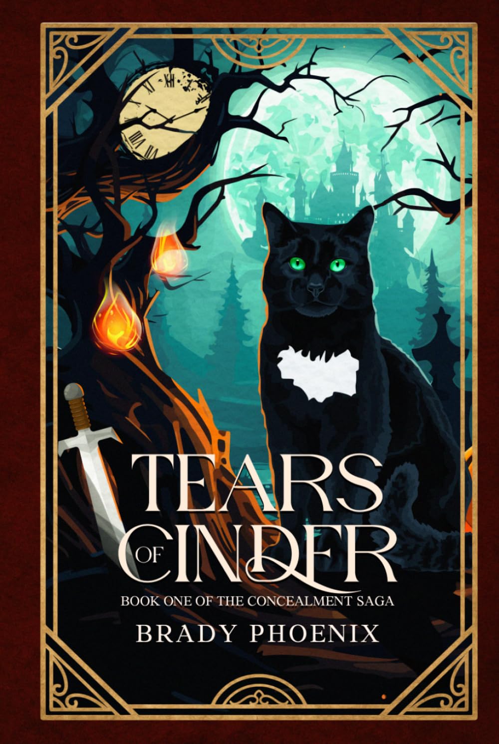 Tears of Cinder: Book One of The Concealment Saga