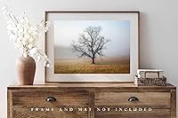 Vista 4 de Nature Photography Print (Not Framed) Picture of Tree Shrouded in Fog on Autumn Morning in Great Smoky Mountains Tennessee Appalachian Wall Art