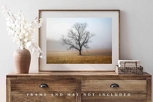 Miniatura 4 de Nature Photography Print (Not Framed) Picture of Tree Shrouded in Fog on Autumn Morning in Great Smoky Mountains Tennessee Appalachian Wall Art