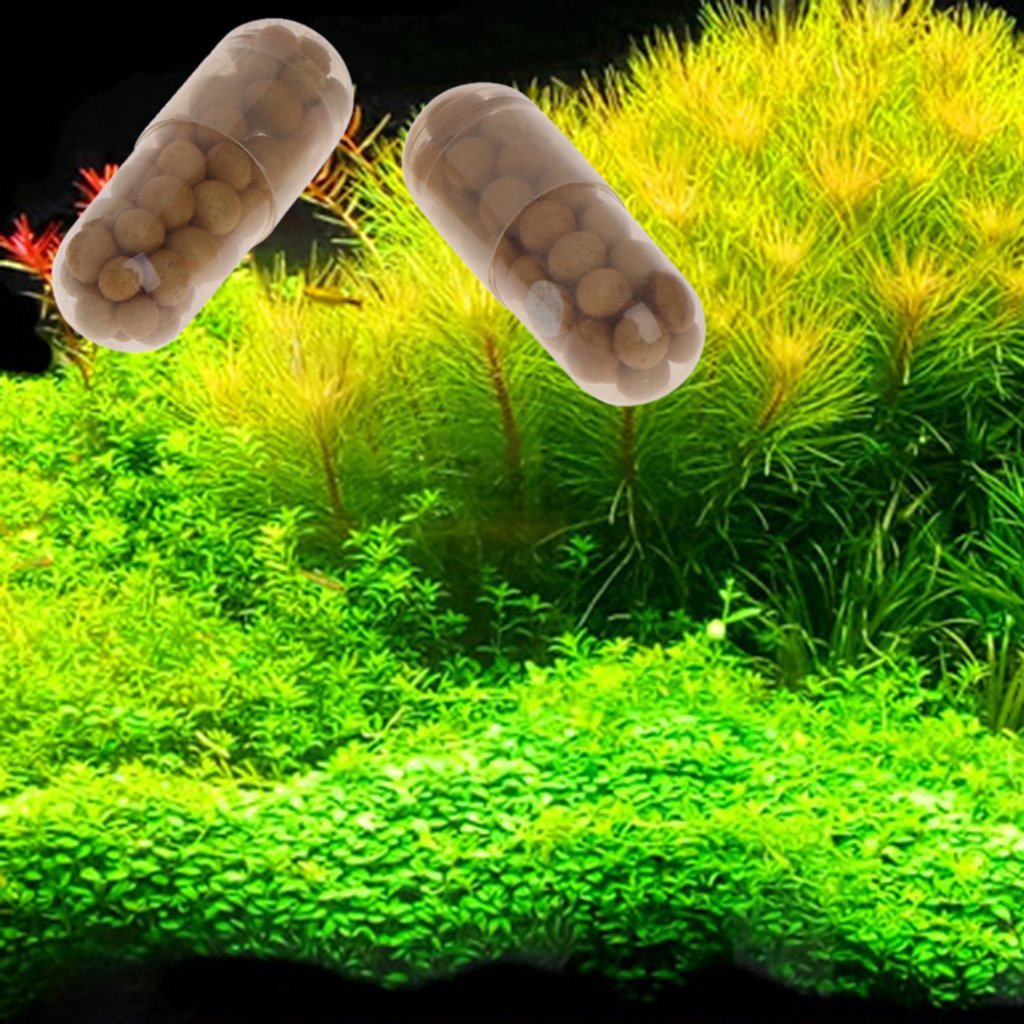 Kofun - Fertilizante para plantas acuáticas - Fertilizante concentrado de raíz acuática para acuario con peces, cilindro, 40 piezas
