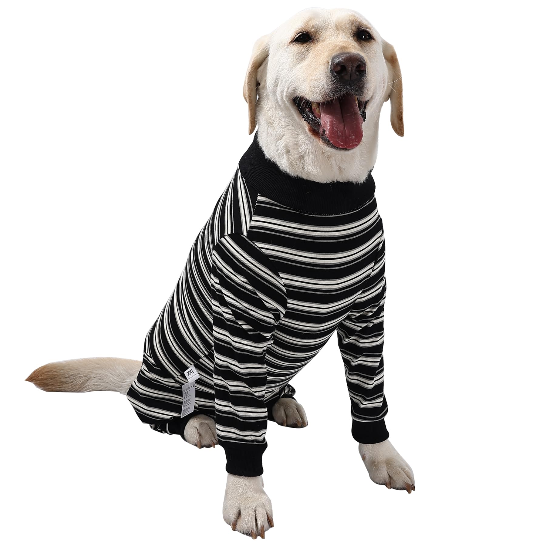 TQFlow Dog Recovery Suit