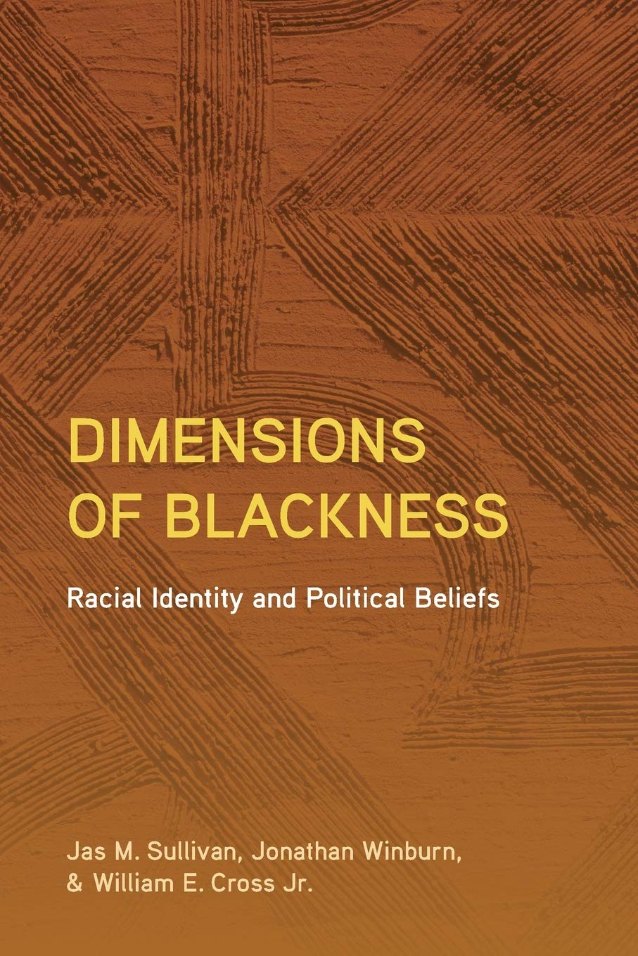 Dimensions of Blackness: Racial Identity and Political Beliefs (African American Studies)