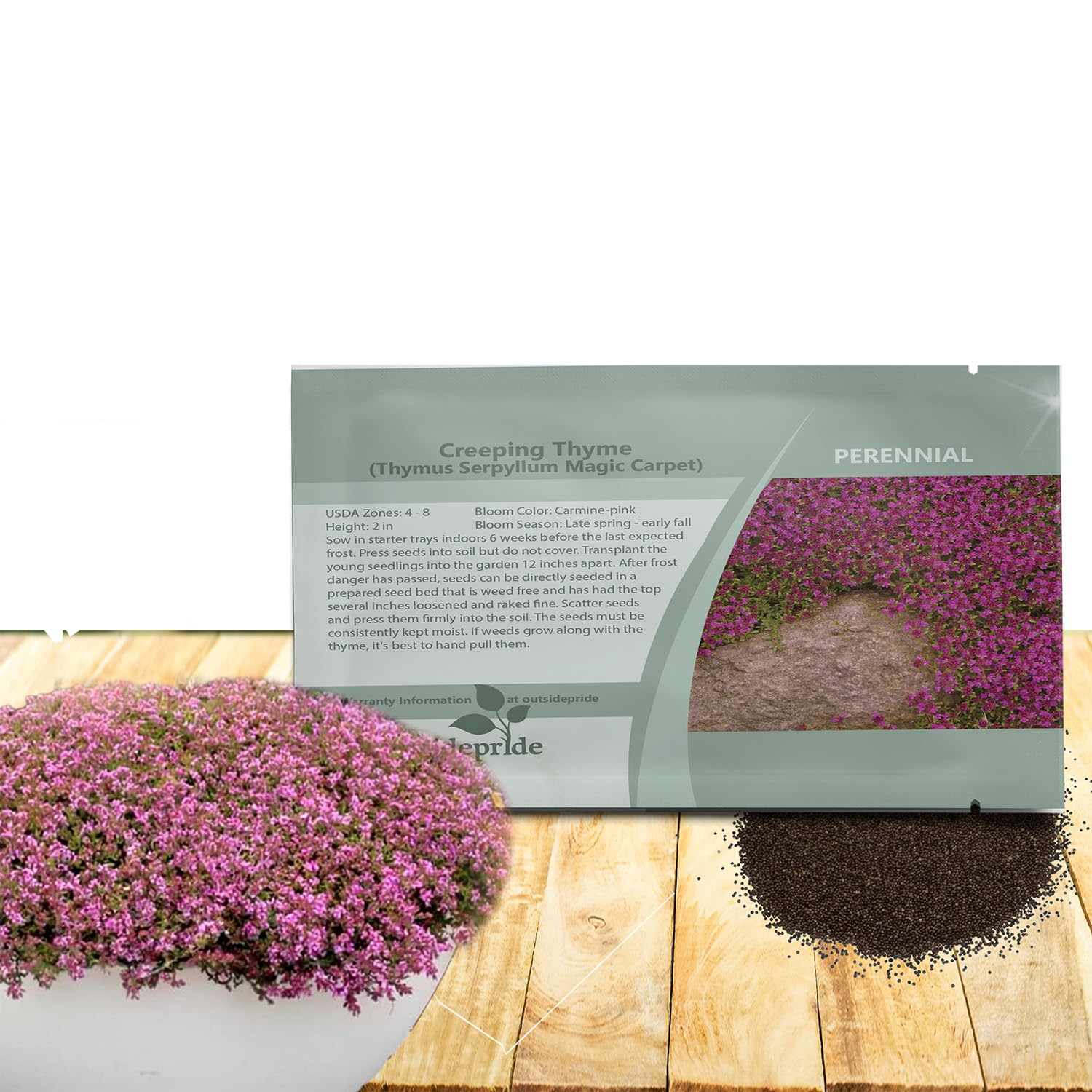 Magic Carpet Creeping Thyme Seeds - 500 Pcs. Perennial, Fragrant, & Drought Tolerant Ground Cover Seeds for Planting Pink Flowers in Pathways, Slopes & Pollinator-Friendly Landscaping