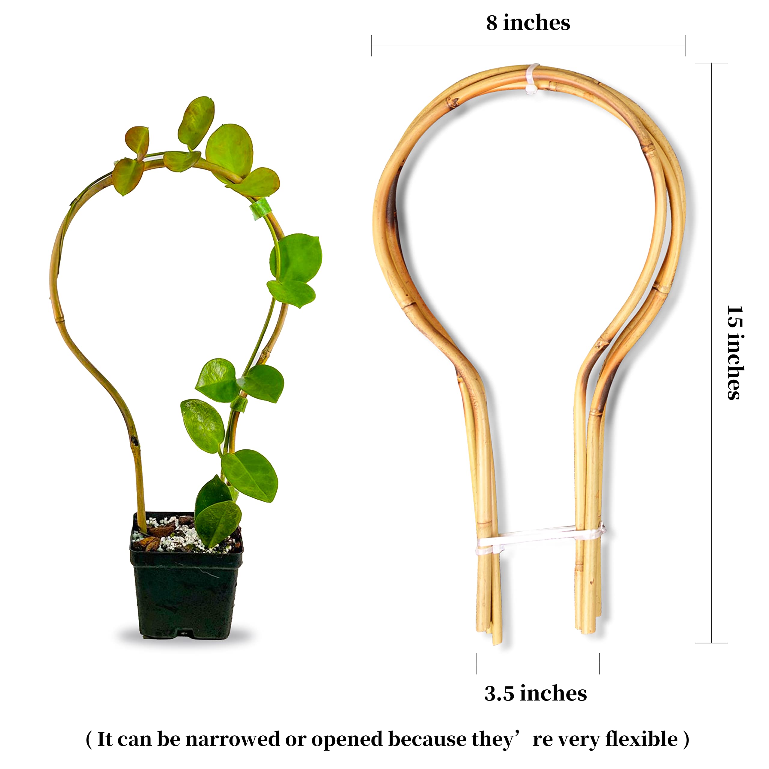 Bambus-Spalier 38,1 cm Schlaufe – runde Form für Topf-Kletterpflanzen, kleines Rankgitter für Training von Hoya, Efeu, Monstera, Gurken und Früchten – 3 Stück