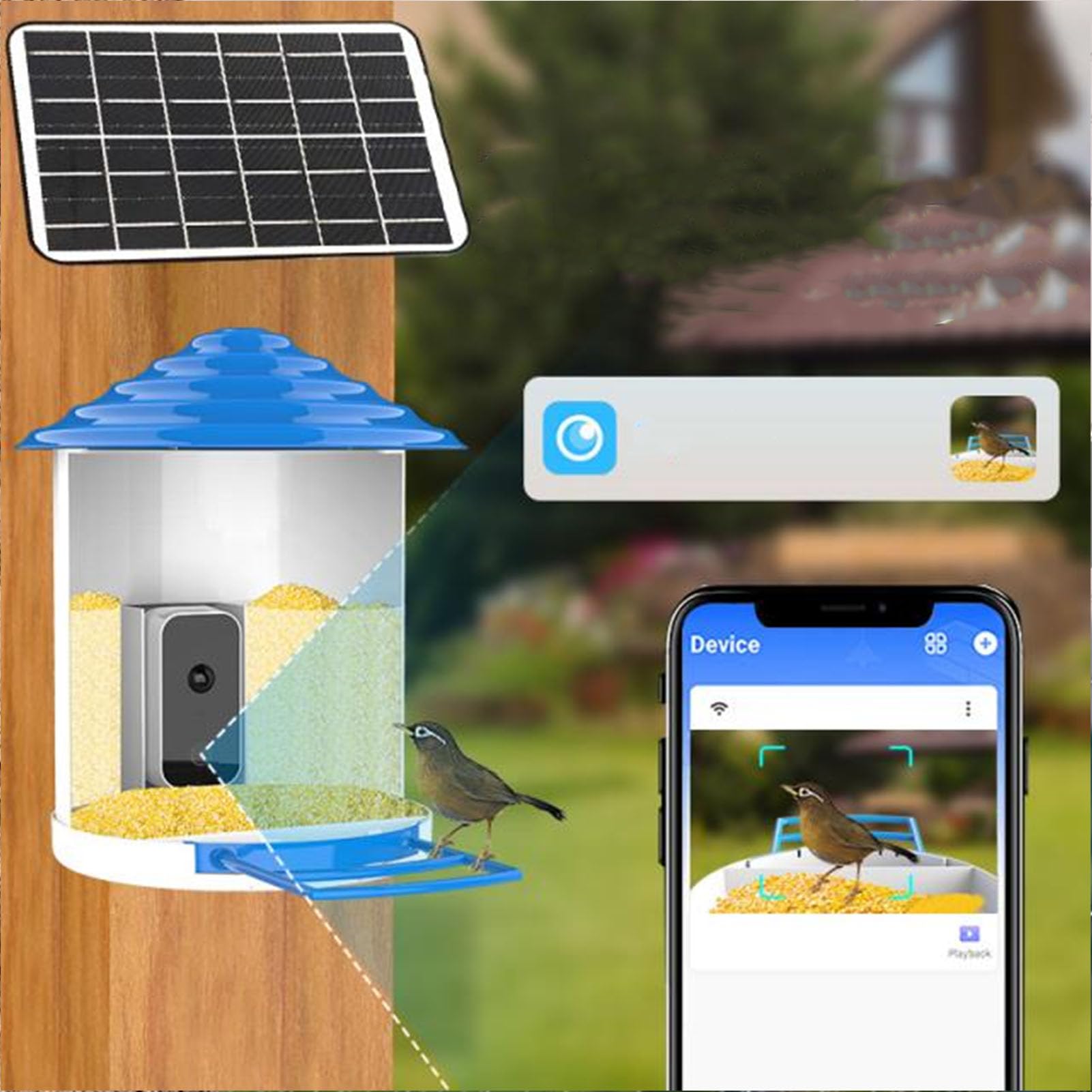 Vogelhaus mit Kamera, Wilde Vogelfutterspender Bird Feeder mit KI Erkennung, 4G LTE Fernbedienung, 1080p Nachtsicht, Bewegungserkennung, Solarbetriebener Wasserdicht (A)