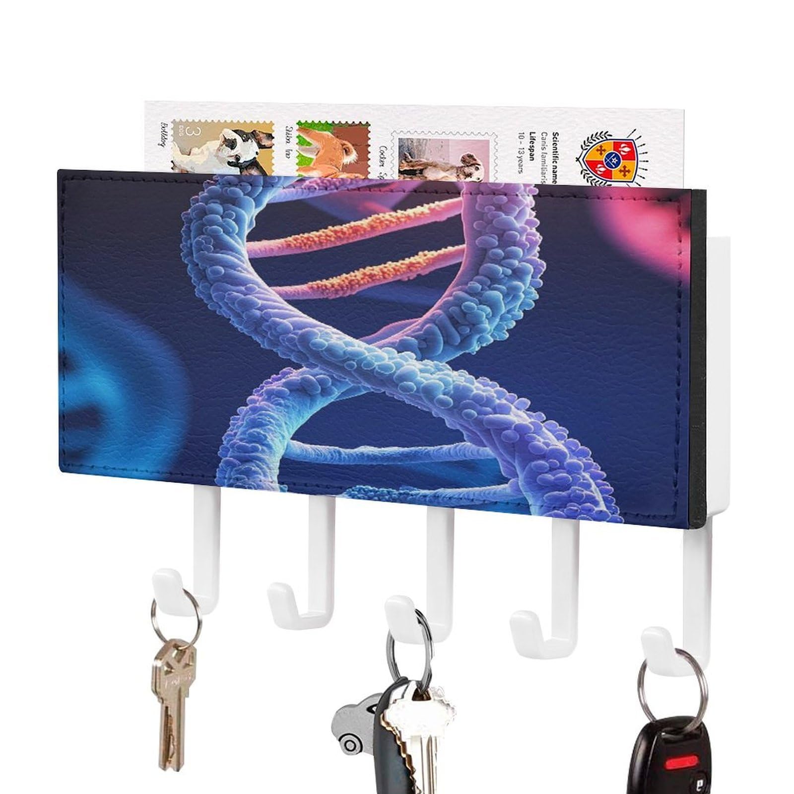 FekiLoot DNA Genetic Helix Key Holder Wall Mount Key Hanger with 5 Hooks Decorative Key Rack Hanging Key Hooks with Mail Organizer Key Holder for Wall Living Room Kitchen Bathroom Hallway White