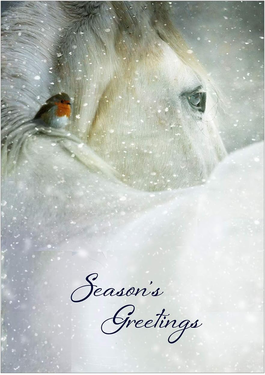 Horse And Robin Christmas Cards - Pack Of 10 - One design, green, 210 x 290 mm