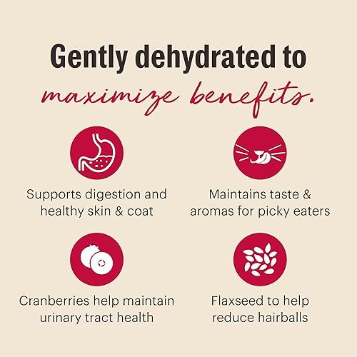 Miniatura 6 de The Honest Kitchen Alimento deshidratado para gatos de pollo sin granos, caja de 2 libras