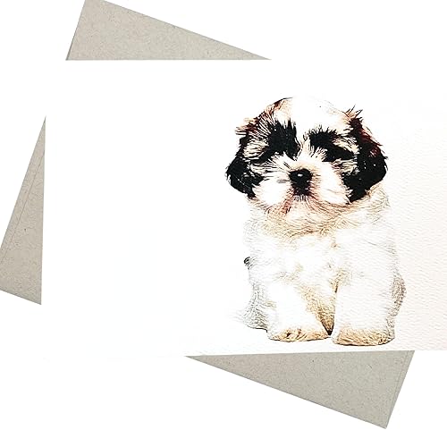 Shih Tzu - Tarjeta de felicitación con sobre (5 x 7 pulgadas, interior en blanco para todas las ocasiones) para cumpleaños, mensajes de despedida,