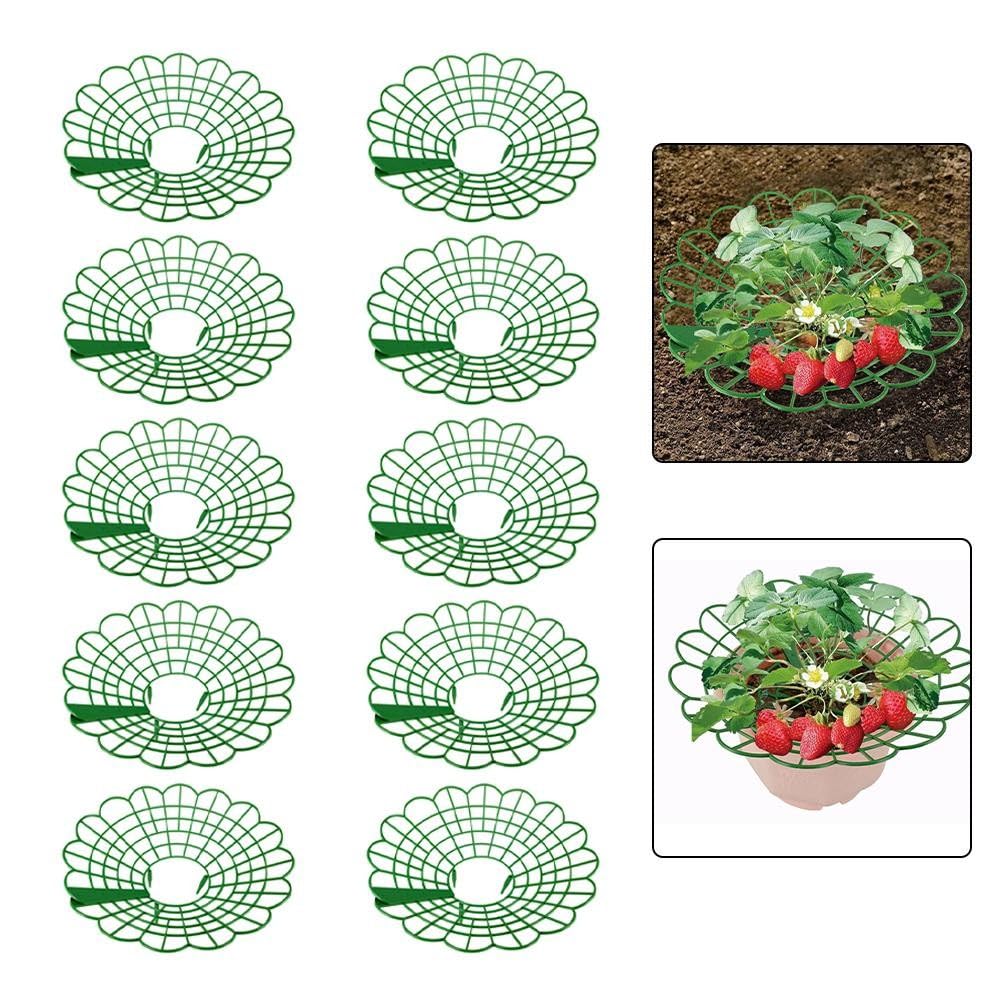 Serenophile Strawberry Plant Support Stands - 10 Pack Green Plastic Garden Frames for Elevated Growth, Air Circulation & Fruit Protection
