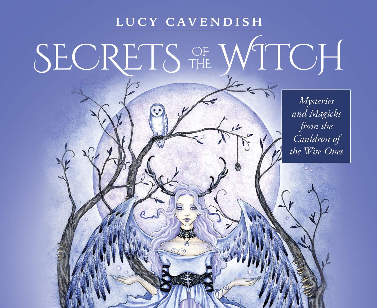 Secrets of the Witch - Mini Oracle Cards: Mysteries and Magicks from the Cauldron of the Wise Ones - 55 message cards plus instruction card.