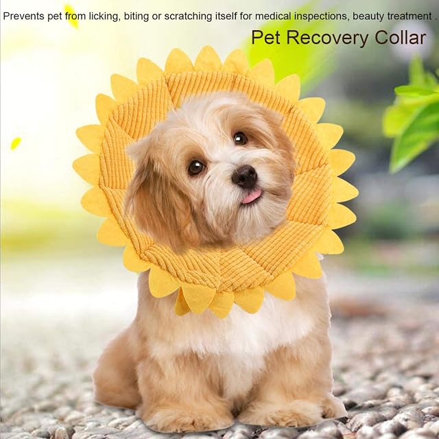 Foto 4 de 8 de Recuperación de mascotas E-Collar Ajustable Algodón Girasol Elizabeth Cuello Cuello Cono Recuperación Cono…