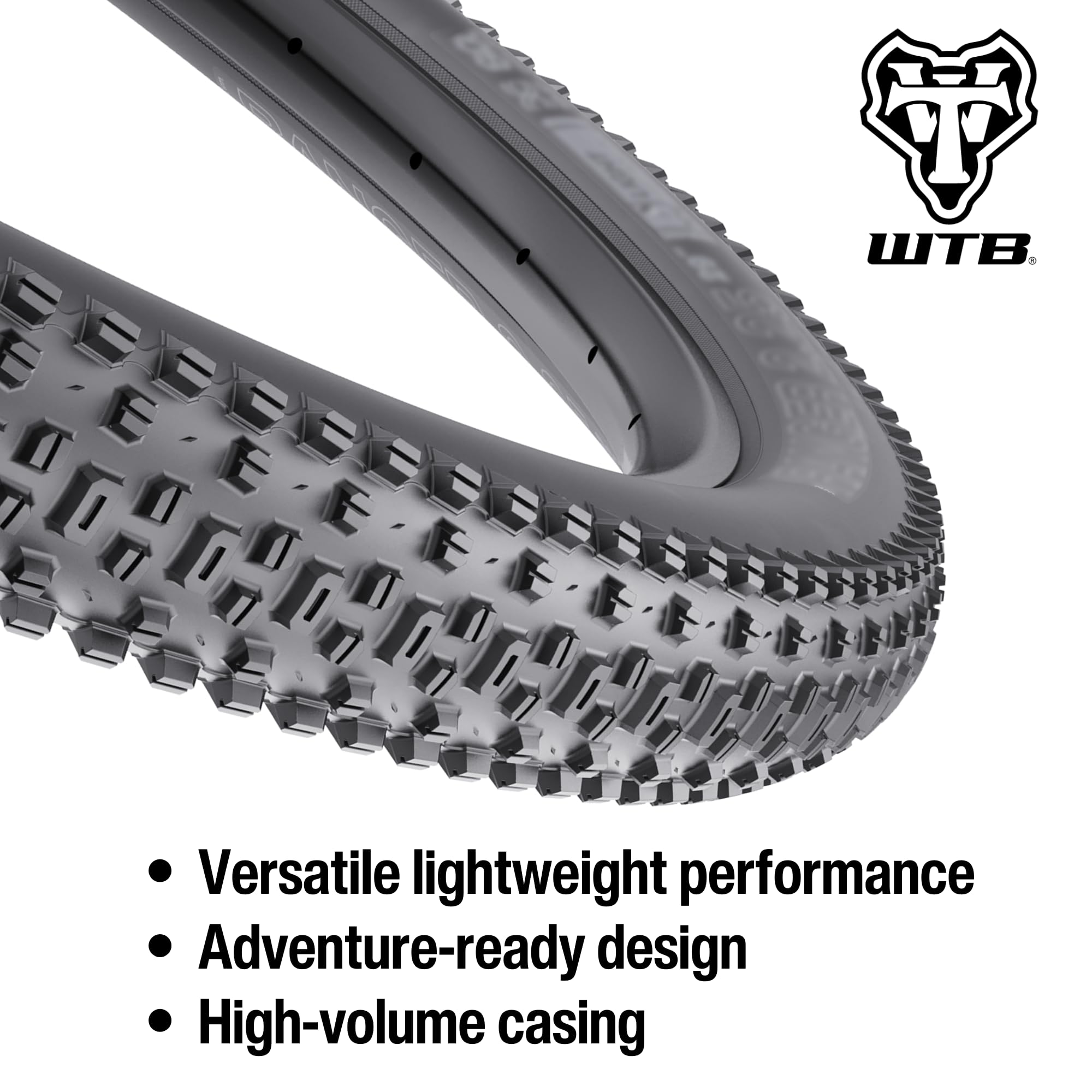 Amazon.com : WTB Ranger Mountain Bike Tire (29