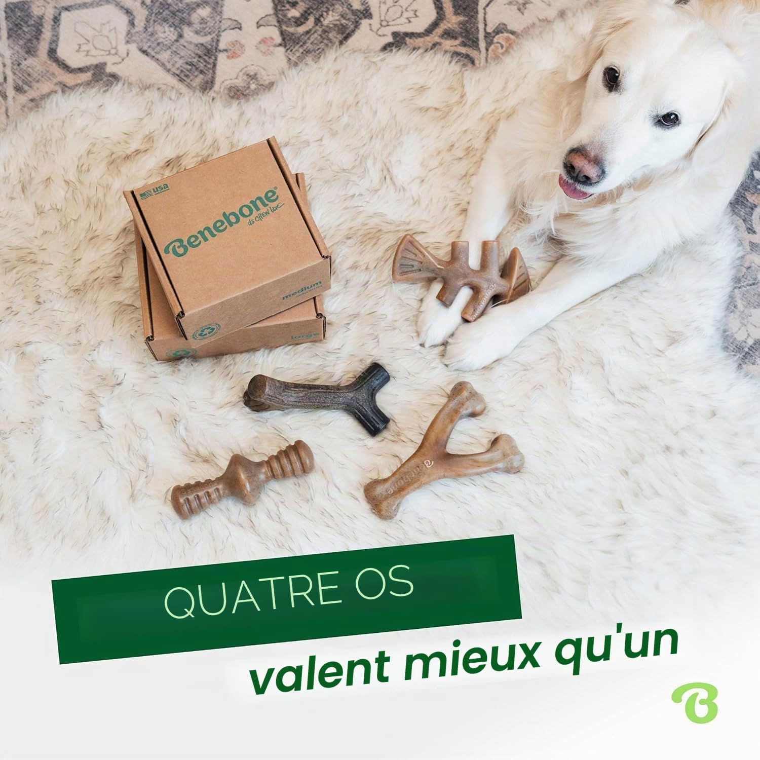 Benebone Boîte de Jouets à mâcher Durable pour Chien avec Wishbone, Fishbone, bâton et zaggler - Taille M