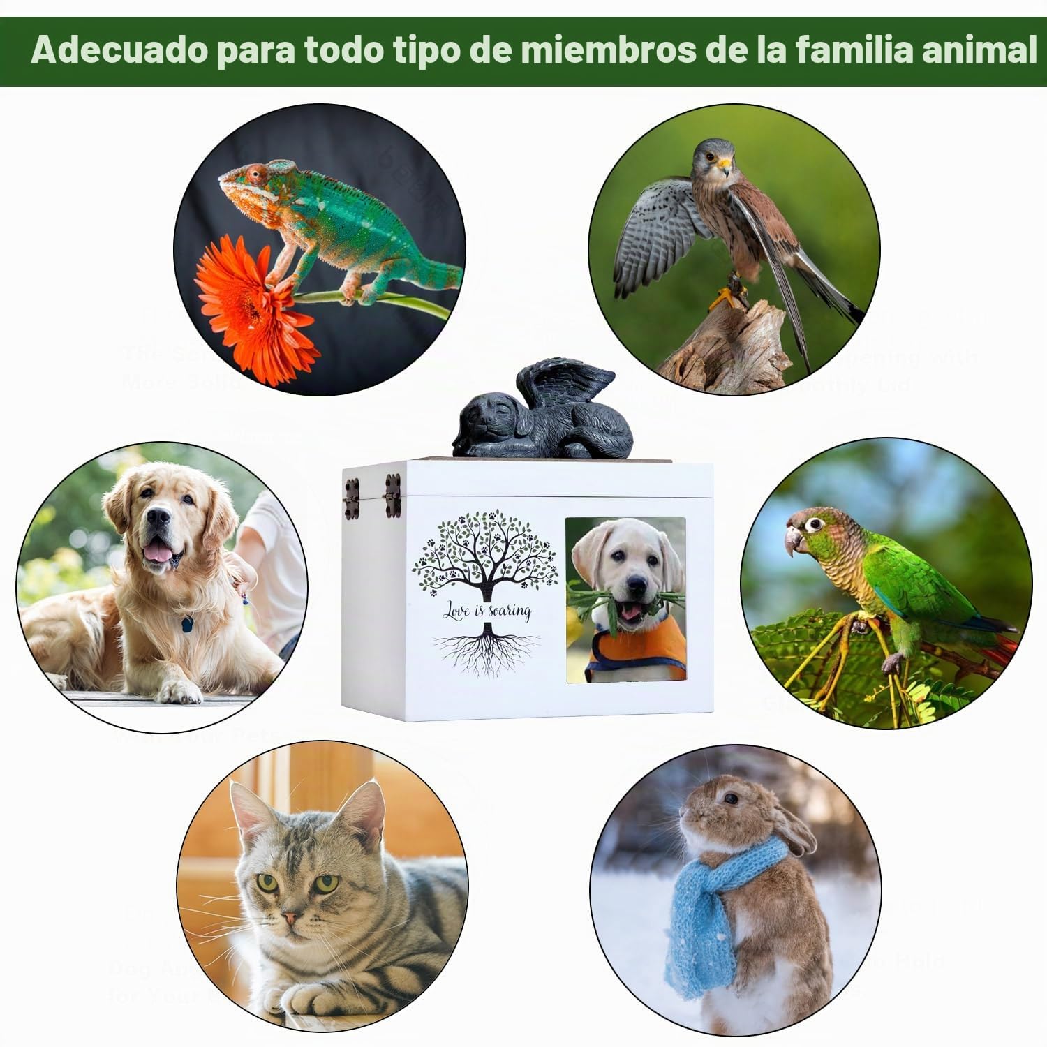 Urnas de cenizas de mascotas para perros o gatos, urnas de funeral de cremación de madera extragrandes con marco para fotos, caja conmemorativa de recuerdos con forro de franela negra, regalo