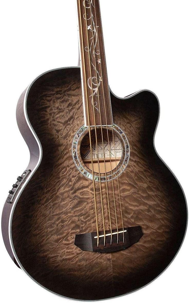 Michael Kelly Dragonfly Fretless 5 5 String Acoustic Electric Bass Guitar