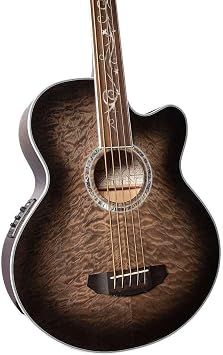 Michael Kelly Dragonfly Fretless 5 5-String Acoustic-Electric Bass Guitar