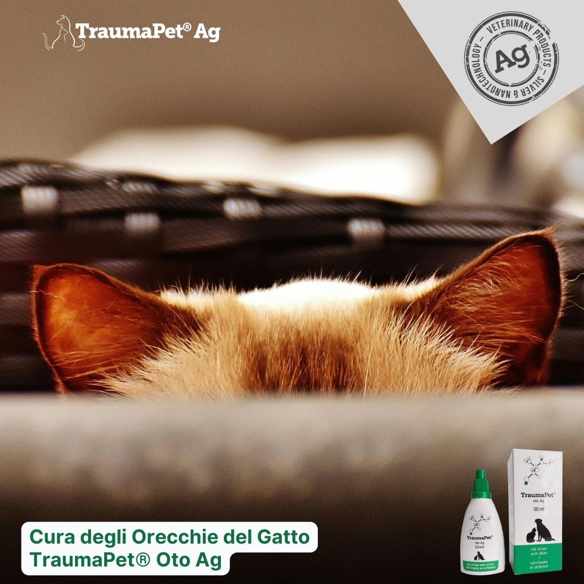 TraumaPet® OTO AG 100ml: Gocce per Le Orecchie con Argento Colloidale NanoComplex® | per la Cura di Cani, Gatti, Cavalli e Altri Piccoli Animali Domestici.