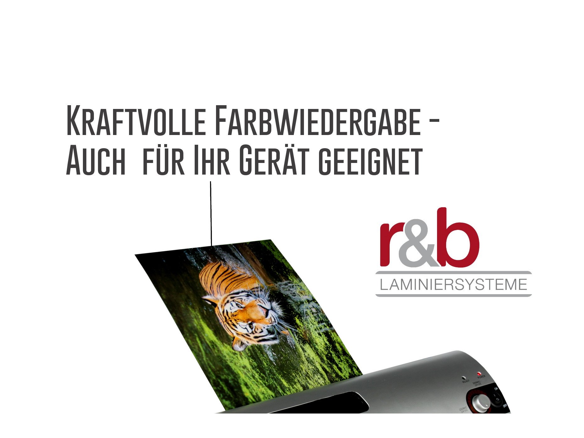 1 TAUSEND PREMIUM Laminierfolien aus hochwertigster Verarbeitung A4 (216 x 303 mm) in 2x 80 MIC, OHNE WASSERZEICHEN - Für Dokumente, Fotos oder Karten – Wasserfest, unzerreißbar in Glänzend