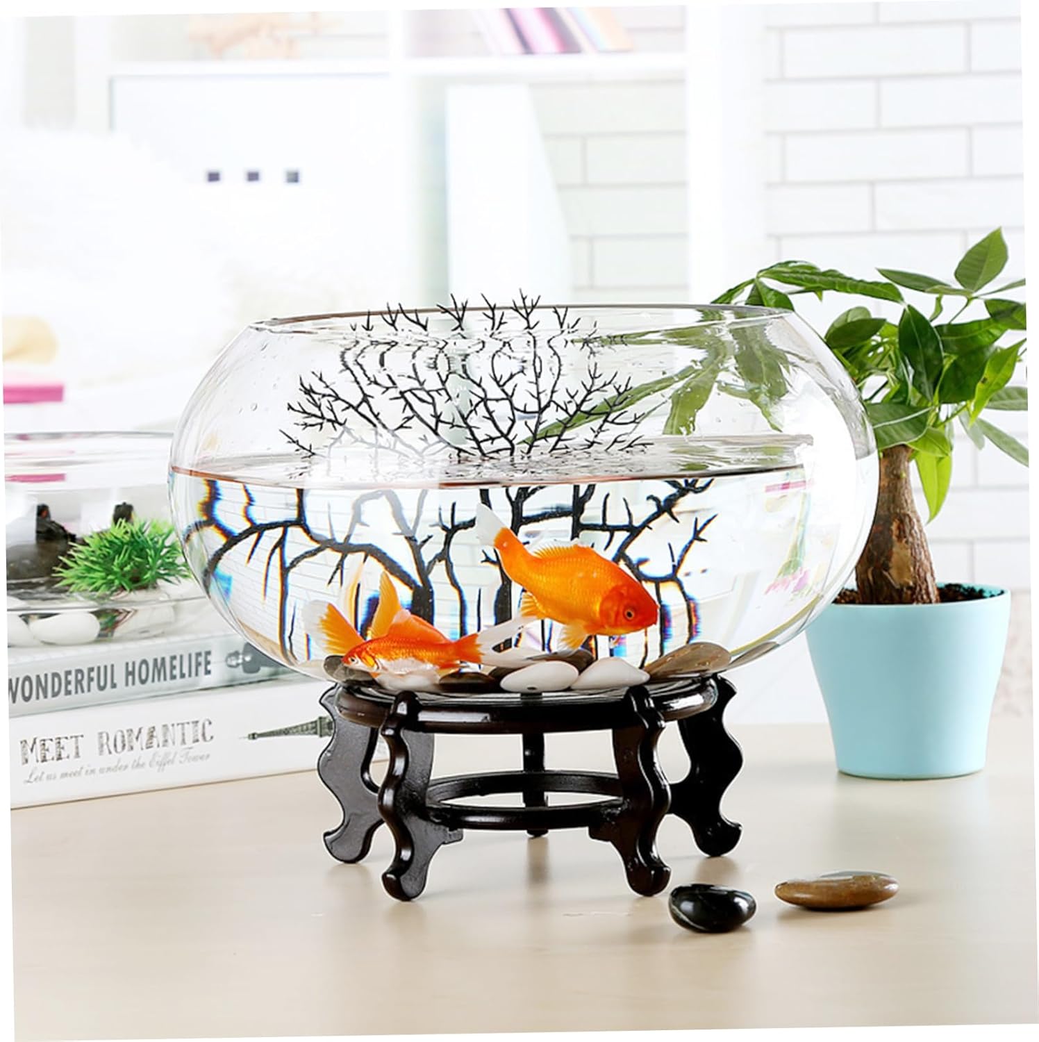 Ciieeo 2pcs Transparent Hydroponic Container for Fish Shrimp Turtle Smooth Glass Terrarium Planter Round Decorative Bowl for Home and Office Use