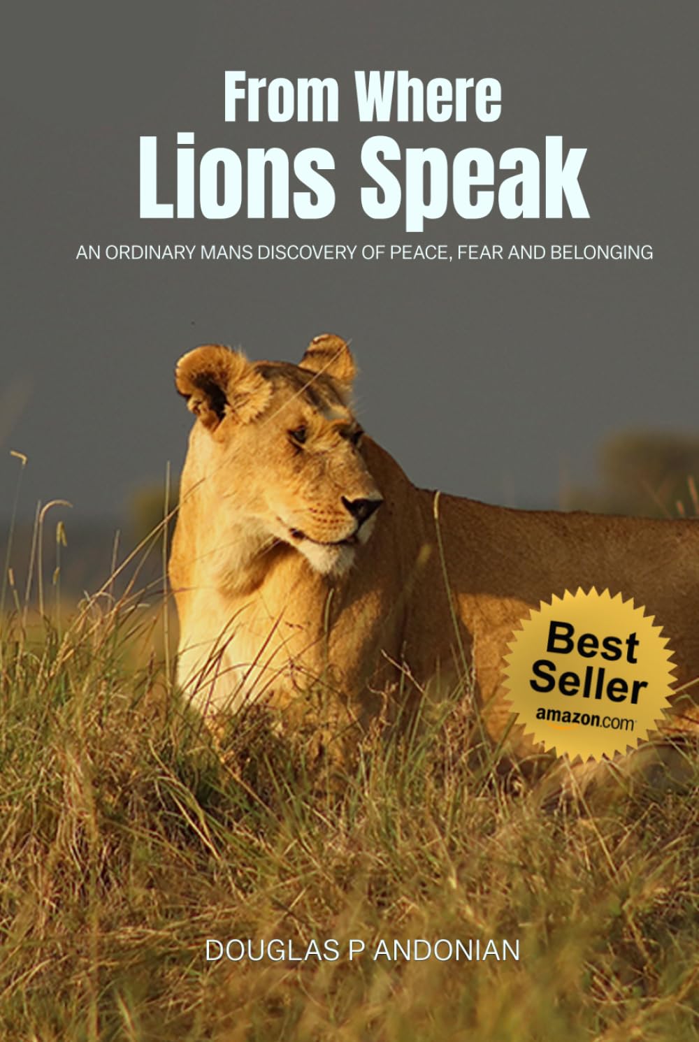 From Where Lions Speak: An Ordinary Mans Discovery Of Peace, Fear And Belonging