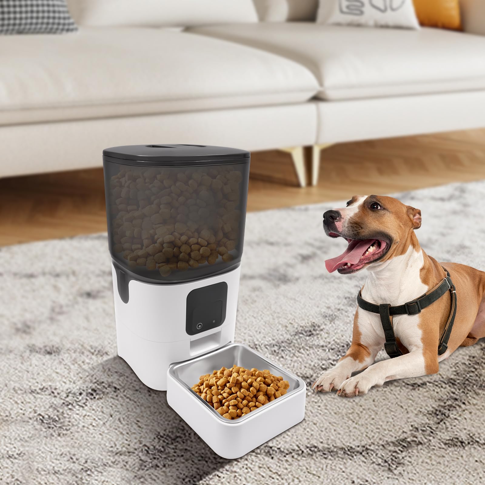 Comedero automático para gatos, comedero automático para gatos de 6 litros, dispensador automático para gatos y perros, 1-10 comidas/día, aplicación para teléfono móvil, 1-15 días, cuenco de acero