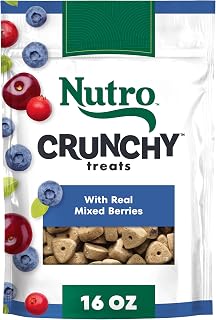 Nutro Crunchy Dog Training Treats with Real Mixed Berries - Natural Low-Calorie Rewards, 16 oz Bag