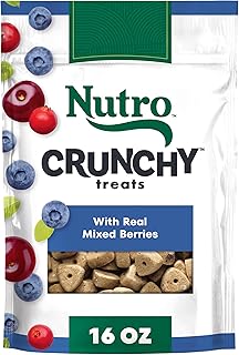 Nutro Crunchy Dog Treats with Real Mixed Berries, 16 oz. Bag
