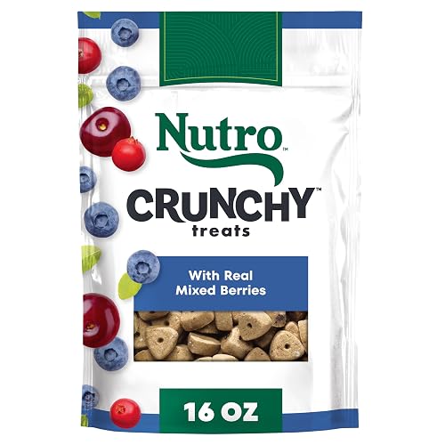 Nutro Crunchy Dog Treats with Real Mixed Berries, Training Treats