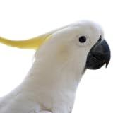 MTSWare